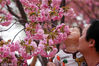 2009年4月11日，北京玉渊潭公园里游人往来如织，盈满枝头的樱花随风起舞，更平添了一份春意。此时玉渊潭公园正在举办的第二十一届樱花节。