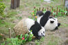 中国大熊猫保护研究中心在第21届世界杯足球赛期间，合ipanda熊猫频道举办“熊猫玩转世界杯”系列活动。“熊猫玩转世界杯”是一次公益性、科普性的系列主题活动，公众不仅能看到大熊猫憨态可掬的样子，更能通过趣味活动了解大熊猫的生活习性和玩具丰容等知识，以此为契机，让熊猫文化走向世界，走向全球公众，让更多人参与到大熊猫保护与生态文明建设的伟大事业中来。
