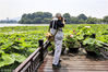 2018年6月16日，南京玄武湖荷花竞相开放，游人络绎不绝前来观赏和拍照。