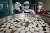 Cooks make fish balls in a shop in Xuyi County of Huai'an, east China's Jiangsu Province, June 1, 2018. The making of fish balls in Xuyi, listed as a local intangible cultural heritage in 2010, is one of the most famous dishes of the Huaiyang cuisine. (Xinhua/Zhou Haijun)
