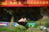 2014年6月12日，江苏扬州，2014巴西世界杯，动物园“熊猫妹”变身预言帝，预测揭幕战巴西取胜。孟德龙/视觉中国