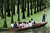 2018年6月23日，武汉，游人在涨渡湖湿地“水上森林”泛舟观鸟。