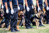 2018年6月26日上午，江苏省公安厅在南京警犬研究所举行“6.26”国际禁毒日全省缉毒犬实战演练活动。
