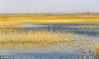 2015年4月2日，甘肃武威，野鸭在青土湖中游荡。经过多年治理，干涸半个世纪的民勤青土湖恢复碧波荡漾，水域面积达到22平方公里，天鹅、野鸭等十多种鸟类重新回到青土湖。
