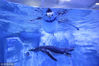 6月13日，江苏淮安一家极地海洋馆内，生活在这里的企鹅在水中游泳，可爱的“萌”样吸引了游客的目光。