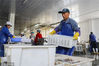 2017年6月9日。辽宁丹东。下岗村一海鲜加工厂，67岁的老关在加工花蛤。