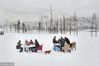 2014年12月16日，成都，一群“吃货”在西岭雪山的雪地里吃火锅。陈羽啸/视觉中国