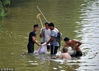 2018年7月15日下午，太原，在滨河东路祥云桥下，一些市民站在河中橡皮坝下，进行了一场捕鱼大战。