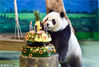 2017年7月6日，是大陆赠台大熊猫团团、圆圆的长女圆仔4岁生日。台北市立动物园为它准备了生日蛋糕。