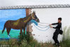 2018年7月17日，游客在新疆伊犁昭苏县与“天马墙画”留影。