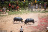 2018年7月18日，在贵州省从江县东朗镇松刀斗牛塘，人们在观看斗牛。