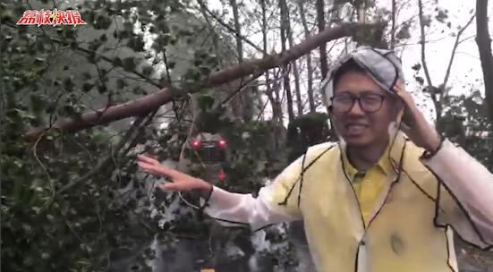 东台弶港镇风力达到9级 川新线沿线大树被大风吹断