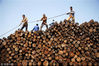 2013年08月05日，安徽省淮北市，几位农民工在37摄氏度的高温下，在一家木材加工厂内搬运木料。谢正义/视觉中国