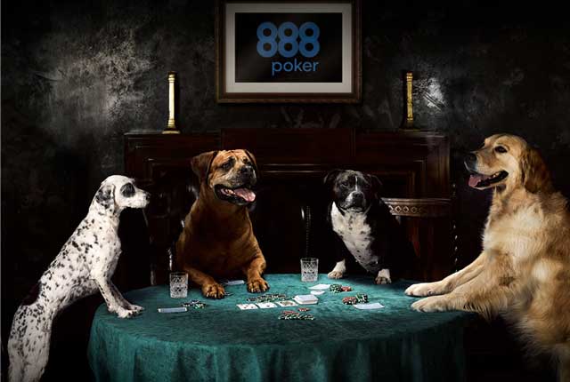 还是博彩公司会玩 《狗玩扑克牌》经典系列油画翻拍成写真