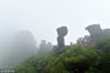2018年7月6日，贵州铜仁，游客冒雨游览世界遗产地梵净山。