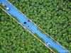 Aerial photo shows tourists view a lotus pond in Laozishan Town of Huai'an, east China's Jiangsu Province, July 8, 2018. (Xinhua/Wan Zhen)