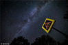 2018年克拉斯诺达尔夜空被英仙座流星雨照亮。VITALIY TIMKIV/人造卫星