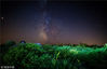 2018年克拉斯诺达尔的夜空被英仙座流星雨照亮。