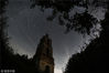 2018在弗拉迪米尔地区阿鲁诺沃村附近的夜空观测到英仙座流星雨。弗拉迪米尔-阿斯塔普科维奇/人造卫星