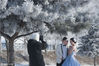 2016年01月28日，吉林省吉林市，松花江畔清早现雾凇美景，一对新人不顾严寒在江边拍婚纱照。