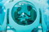 当地时间2017年1月30日，比利时布鲁塞尔，Nicolas Mouchart 和Florence 穿上了潜水装备和脚蹼，潜入水下餐厅“珍珠”用餐。YVES HERMAN/视觉中国