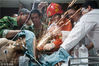 2012年6月12日，杭州，凌晨的医院急诊室内，工友、消防员和医生齐力对插入农民工郑师傅身体的七根钢筋进行切割。前一天下午，郑师傅在福建的工地上干活时，被盘转机器上突然断掉弹出的钢筋插进了身体。因当地医院无法手术，辗转至杭州。