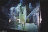 2018年8月19日，浙江省杭州市，杭州野生动物世界，摄影师夜探动物园，观看夜幕下动物们的神秘状态。图为北极狼。