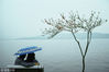 1986年，浙江杭州，一对情侣撑着伞坐在西湖边观景。