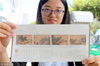 《四景山水图》卷为“南宋四大家”之一刘松年绘，绢本设色，纵40厘米，横69厘米，现藏于北京故宫博物院。
