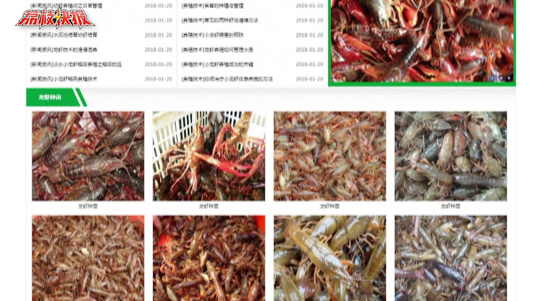网上“专营”小龙虾 收了货款就拉黑