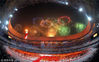 2008年8月8日，北京奥运会开幕式，鸟巢焰火表演。视觉中国