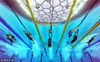 2008年8月11日，国家游泳中心，2008北京奥运会男子4x100米自由泳接力比赛，澳大利亚伊蒙-沙利文、美国的迈克-菲尔普斯和法国的阿毛里·勒沃在比赛中。Adam Pretty/Getty Images