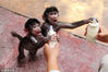 2014年9月17日，浙江省杭州市，杭州野生动物世界，小阿拉伯狒狒姐妹妞妞和妮妮生活在一起，像两个小孩子，自己聊天、玩耍，创造很多乐趣。这是他们俩抢着拿饲养员给它们喝的牛奶。许康平/视觉中国