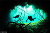 2018年9月13日讯（具体拍摄时间不详），阳光从一个水下洞穴的顶部洞口照入，潜水员在一柱阳光中游泳，画面神秘而美丽。洞穴内的水非常清澈，光线可以到达50米深的地方，洞穴的其余部分完全处于黑暗之中，是没有视力的“盲鱼”的家园。这些令人震惊的照片是由28岁的日本潜水教练Hiromasa Araki拍摄的，他和朋友在墨西哥坎昆进行了一次潜水，并将此次体验描述为“就像在天堂一样”。Solent News/视觉中国