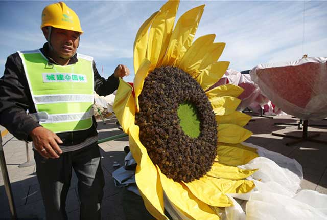 北京：天安门广场“祝福祖国”花篮开始安装花卉