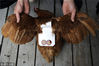 当地时间2014年7月16日，美国科罗拉多州莫里森，当地居民给一只母鸡装上了鞍座，防止母鸡遭捕食者或交配的公鸡啄咬。