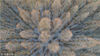 2019年1月9日，江苏省泗洪县迎来新年第一场雪，在洪泽湖湿地水杉林，小雪纷纷扬扬，飘飘洒洒在色彩斑斓的水杉林间，犹如舞动的白色精灵穿行在水杉林，俨然一副冬日美丽画卷。