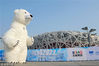 2019年1月12日，可爱呆萌的“北极熊”亮相北京鸟巢广场，“相约2022”冰雪文化节。“相约2022”冰雪文化节目前已正式全面开放，吸引了众多市民前来体验冰雪运动。其是冬奥会进入“北京周期”以来，奥运核心区规模最大、品质最高、持续时间最长的冬奥文化超级盛典，旨在通过文化推广、科技互动、冰雪赛事、演艺娱乐等方式，将中国文化、冬季体育和奥林匹克精神相融合，成为向世界展示中国冰雪运动和冰雪文化的平台。视觉中国
