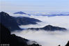 2019年1月13日，在安徽黄山风景区拍摄的壮观云海。施广德/视觉中国