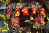 2019年1月25日，农历腊月二十夜，江苏南通阳光明媚，绽放的腊梅在枝头吐露芬芳，预示着春天即将来临。