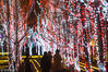 2019年1月28日，南京市建邺区青奥村广场，2019青奥艺术灯会正式亮灯。青奥村广场附近变成一片“灯的海洋”。