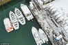 2019年1月31日凌晨，青岛西海岸新区唐岛湾渔港迎来降雪。雪后渔港在白雪的装点下清新靓丽，披着“白纱”的渔船美不胜收。韩加君/视觉中国