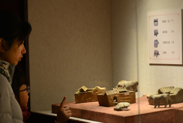 南京博物院藏猪文物展开幕