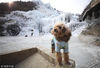 2019年1月6日，北京门头沟神泉峡风景区，游客带着一只宠物狗在冰瀑前玩耍。