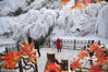 2019年1月6日，游客在北京门头沟神泉峡风景区观赏冰瀑。