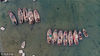 2019年1月7日，青岛“最小”渔港位于青岛银沙滩鱼鸣嘴。（航拍图）