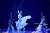 2019年1月8日晚，由南京艺术学院舞蹈学院主办，古典舞系承办根据《陶渊明集》中《桃花源记》改编的原创实验舞蹈剧场《婆娑》 在南艺实验剧场举行。