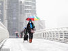 2019年01月09日，江苏省南京市，人们冒着大雪出行。姚家/视觉中国