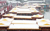 2019年01月09日，江苏省南京市，夫子庙，大雪纷飞。夫子庙古建筑和游船被大雪覆盖，银装素裹，非常漂亮。姚家/视觉中国