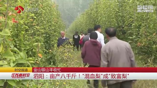 金山银山丰收忙